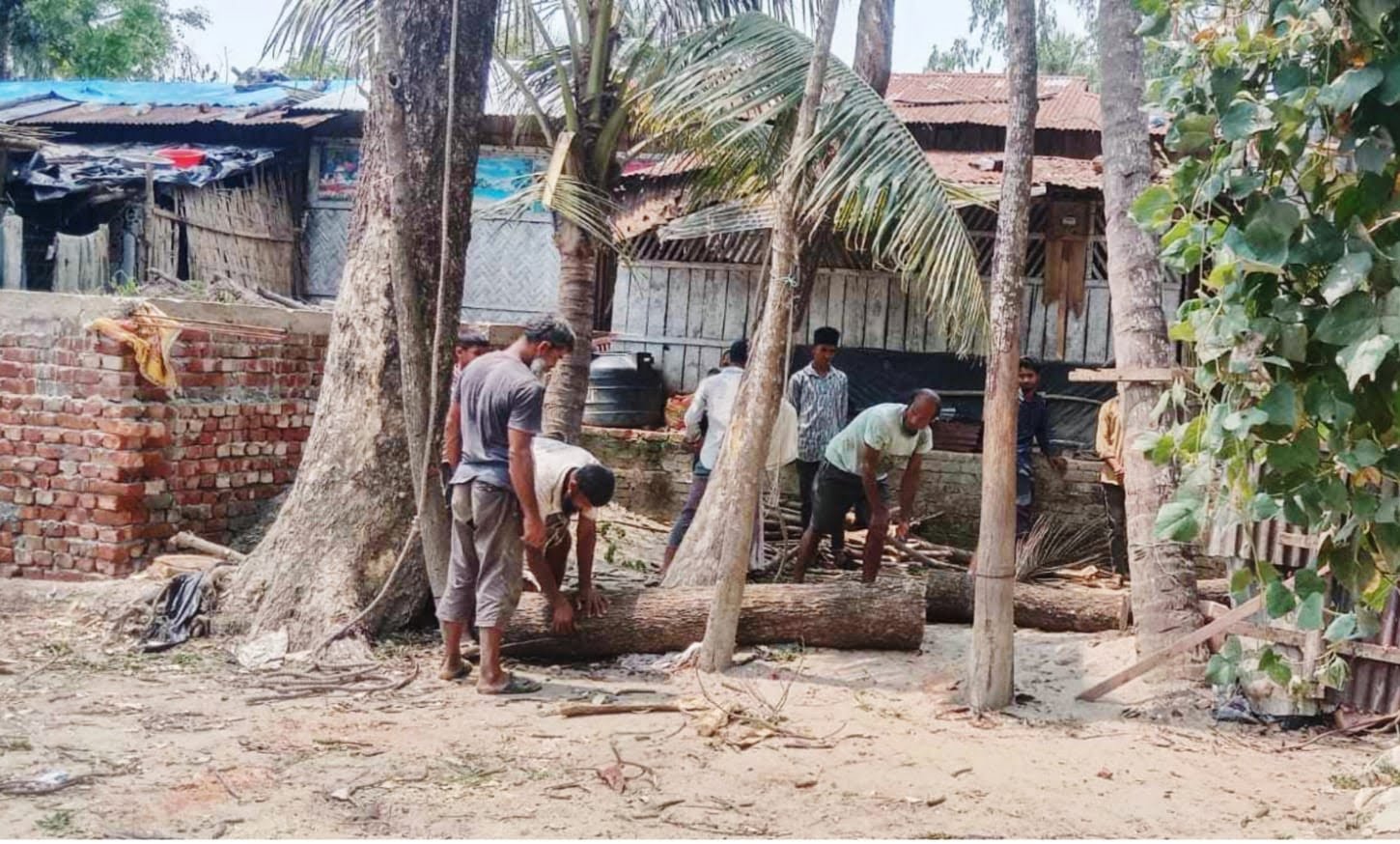 অসহায় পরিবারের বসতভিটা জবরদখলের চেষ্টা; কেটে নিয়ে গেলেন গাছপালা