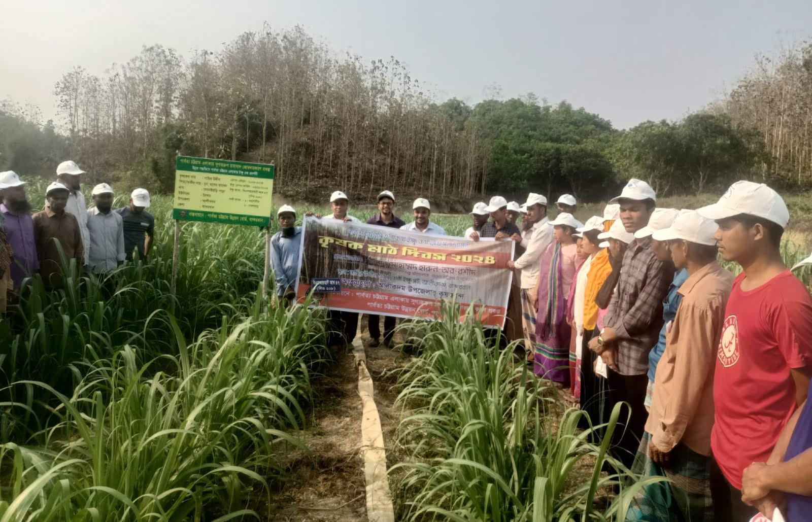 আলীকদমে ইক্ষু ও সাথী ফসল চাষে কৃষক মাঠ দিবস অনুষ্ঠিত